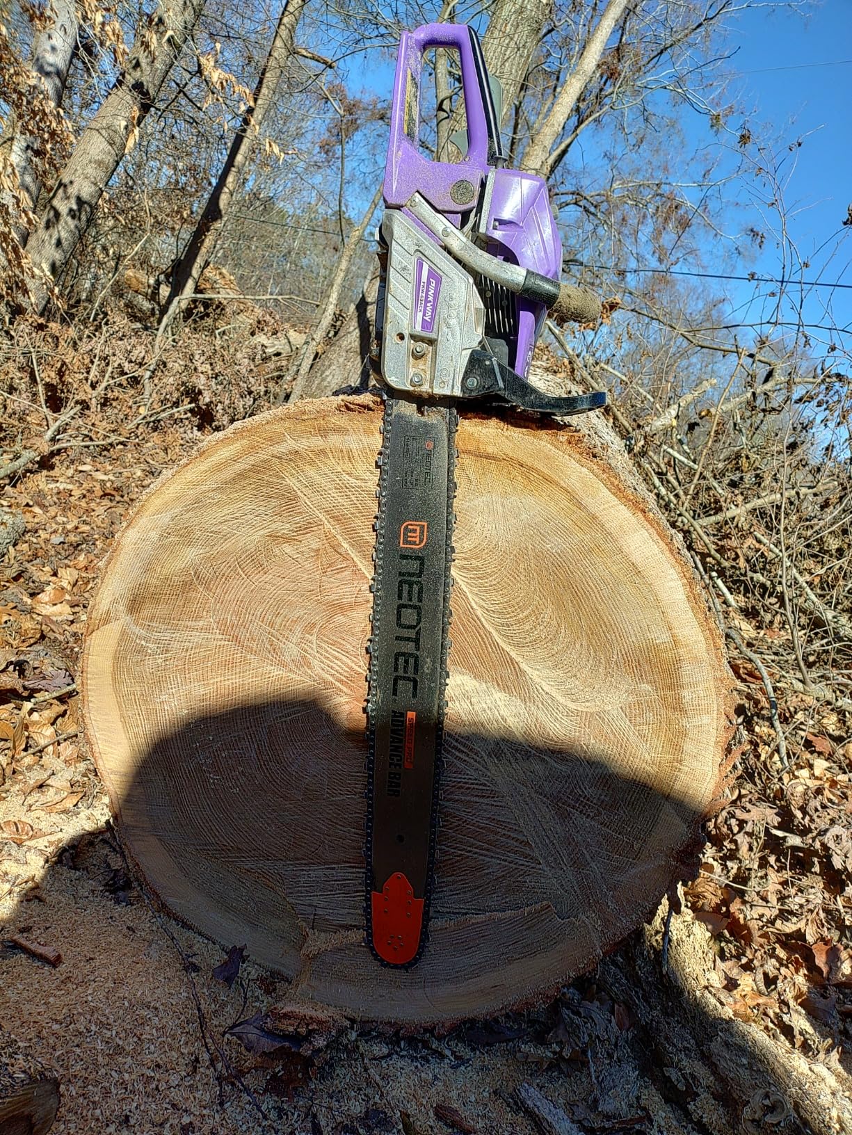 Customer review photo 6